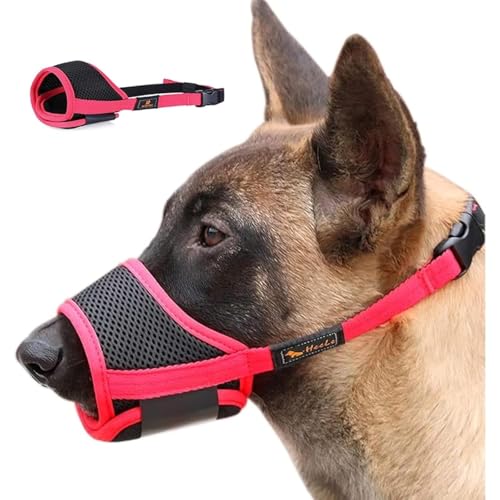 SSZY ̃}Y p }Y p }XN ߉\ }YJo[ }YK[h S ݂h~ ʖih~ v _炩 K U ʉ@ ی pP pi _炩 (M,bh)