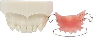 Dentalmall Orthodontic Metal/Ceramic/Invisible Brackets Lingual Brace Teeth Model (M3007: Hawley Retainer Orthodontic Teeth Typodont)