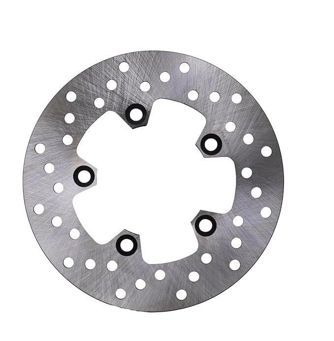 NS Back Disc Plate Compitable For OLA S1, Pro (Rear)-image-11