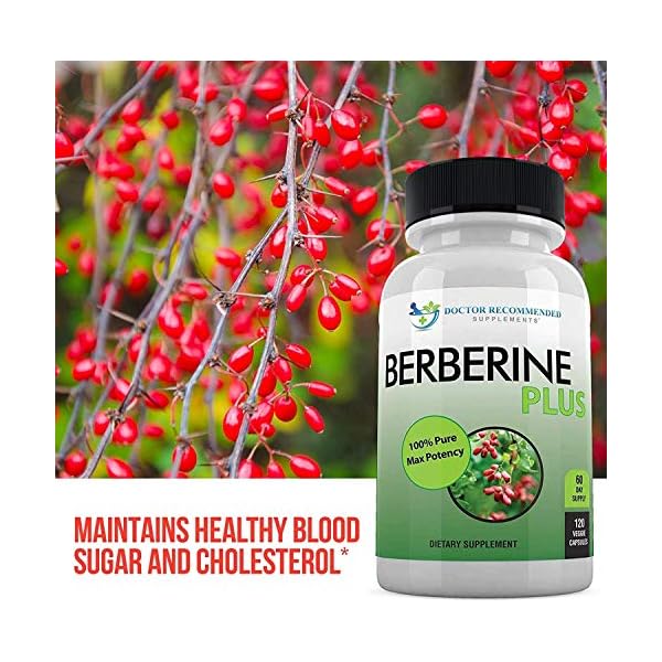 DOCTOR RECOMMENDED SUPPLEMENTS Berberine Plus 1200mg Per Serving - 120 Veggie Capsules with Royal Jelly