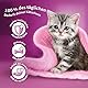 Whiskas Junior Trockenfutter Huhn, 5x800g (5 Packungen) - für heranwachsende Katzen - Extra kleine Kibbles für Kätzchen (2-12 Monate) - unterschiedliche Produktverpackungen erhältlich