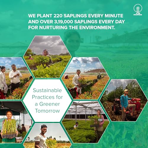 JK Easy Copier Paper | A4 Size | 70 GSM | 500 Sheets | White Paper, 1 Ream | For Laserjet & Inkjet Printer | Fast Drying | Both Side Print | Eco Friendly | ColorLok (Pack of 1) | One Ream (Image - 5)