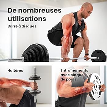 Height Adjustable Body Exercise Weight Bench Home Gym | Weight Benches | Fitness Equipment Manufacturer