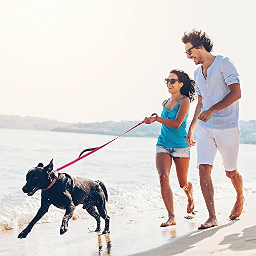 Fida 5 FT Heavy Duty Dog Leash with 2 Comfortable Padded Handles, Traffic Handle & Advanced Easy Snap Hook, Reflective… - Image 7