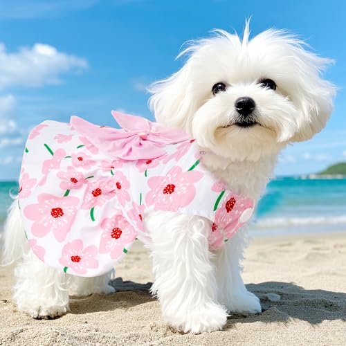 #1 Best Choyaxo 4Pcs Dog - Premium Pet Apparel Set - Image 5