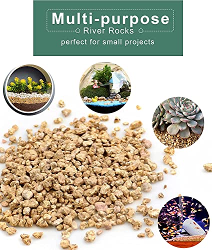 Succulent Cactus Gold Maifanitum Stone 6Lb Small Decorative Gravel Diy Rock Indoor Houseplants Pebbles Soil Additive Potting Gritty For Bonsai, Fairy Gardening, Vases Fillers, Terrarium, Top Dressing #TOP3