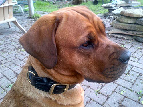 Angel Braided Leather Dog Collar, 24" X 1.25", Black, Top Grain Argentinean Cowhide, Strong, Supple And Soft #TOP6