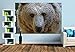 Produktbild Premium Foto-Tapete Syrischer Braunbär (verschiedene Größen) (Size M | 279 x 186 cm) Design-Tapete, Vlies-Tapete, Wand-Tapete, Wand-Dekoration, Photo-Tapete, Markenqualität von ERFURT