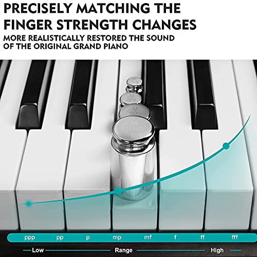 KACYDI Piano numérique à Action pondérée, Piano numérique à 88 Touches, Touches de Piano Marteau avec réponse au Toucher… - Les Beatles, Paul McCartney, John Lennon, RIngo Starr, George Harrison KACYDI Piano numérique à Action pondérée, Piano numérique à 88 Touches, Touches de Piano Marteau avec réponse au Toucher… – Image 4