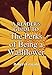 A Reader's Guide to The Perks of Being a Wallflower
