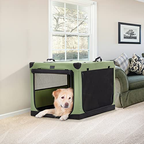 Petsfit Travel Pet Home, Innen- und Außenkiste für Large Dog Green 90cm x 60cm x 59cm