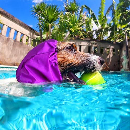 Aliceset Hunde-Badekappe, wasserdicht, Hundeohrenschutz, Badekappe, Hundeohren, Stirnband, Hundeschal, Regenhut, Hundeohrenabdeckungen für Bad, Hundeohrenwickel für Show Regen, 3 Stück