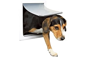 Pet Products 2-Way Locking Dog Door for Small to Medium Pets, White