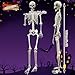Lodou 5.4Ft Posable Life Size Human Adult Skeletons Plastic Human Bones with Movable Joints for Halloween Decoration