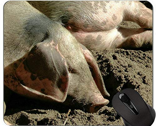 YENDOSTEEN Diseño Animal Cute Baby Pig Mousepad, Bentheimer Country Pig Mouse Pad con Bordes cosidos
