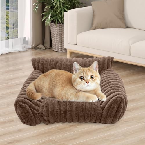 Canapé pour chat douillet et surélevé intérieur extérieur