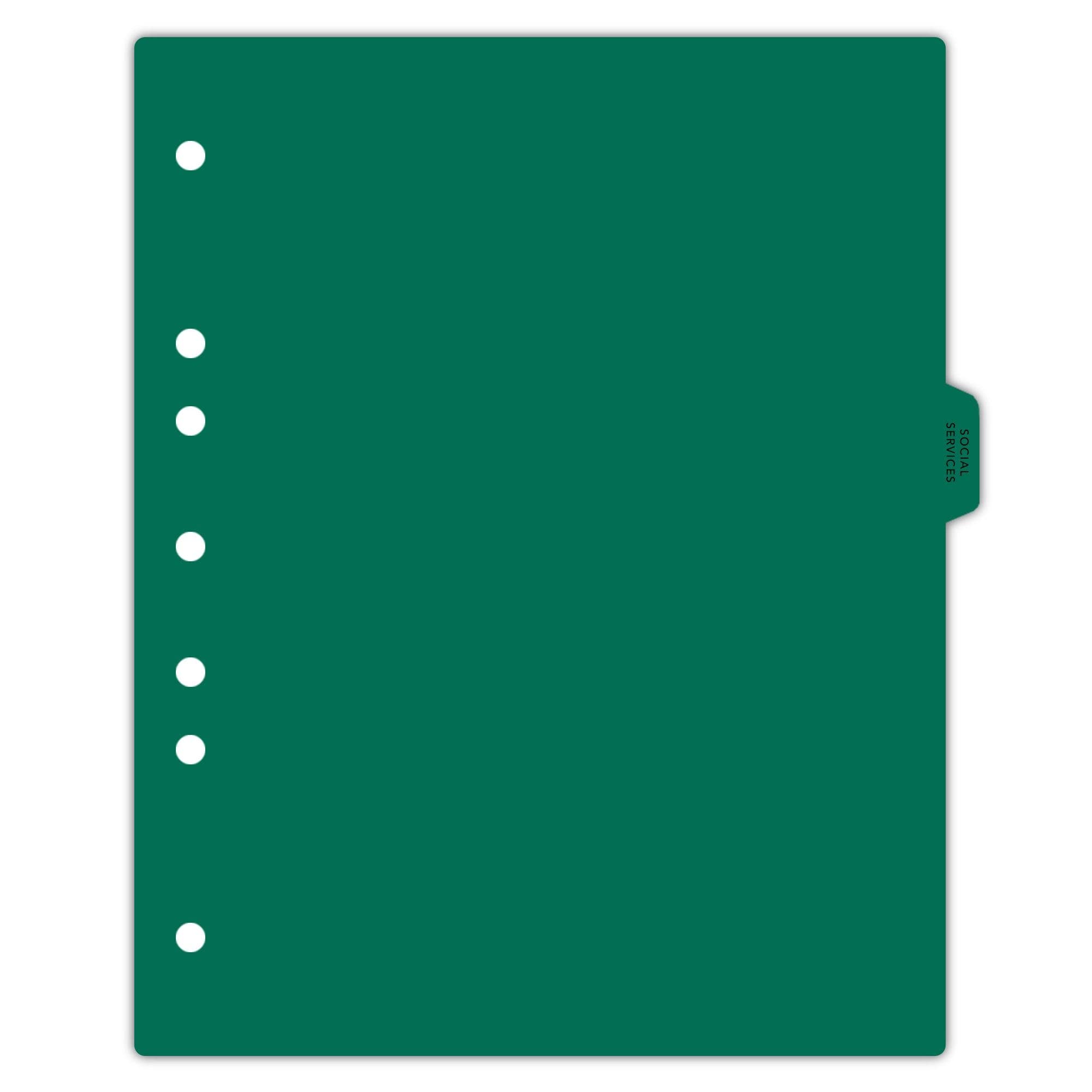 Carstens - Heavy Duty Social Services Plastic Ring Binder Dividers, Side Tab, 1/9 Cut, Tab 4 Position, US Letter, Pack of 10, (2620-12) - Ideal Medical Chart Dividers for 3 Ring Binders