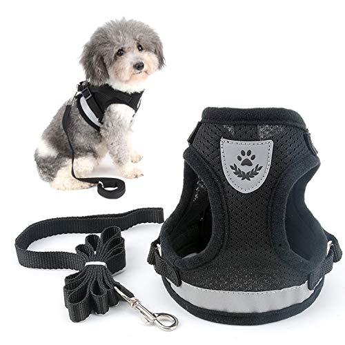 Ranphy, pettorina riflettente per cani di piccola taglia in rete, traspirante, senza tirare, con guinzaglio regolabile, per camminare, allenamento, corsa, nero, taglia S
