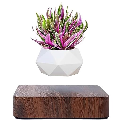 Levitating Air Bonsai Pot