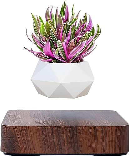 Levitating Air Bonsai Pot, Rotation Flower Pot Planters, Magnetic Levitation Suspension Floating Pot, Potted Plant Home Desk Decor in Flower Pots & Planters from Home & Garden on (Dark color)