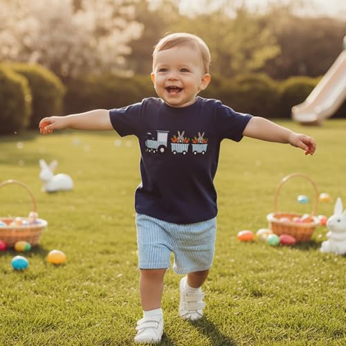 Image of Toddler Baby Boy Easter Rabbit Outfit Short Sleeve Bunny Carrot Smocked T-shirt Elastic Waist Shorts Summer Clothes