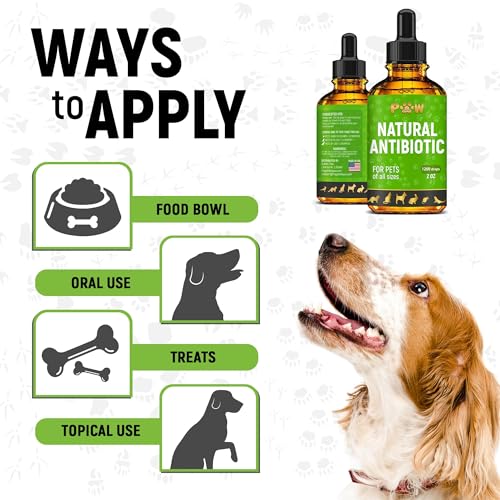 Dog Antibiotics for Infection, Coughs, UTIs, Allergies, Itching | Natural Antibiotics for Cats to Support Skin, Coat, & Digestion | for All Breeds & Ages | 2 oz