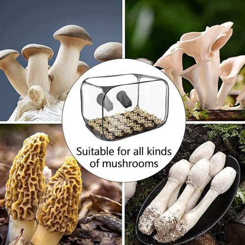 Melko Growbox 40x40x120 cm Growschrank Growzelt Zuchtzelte Zuchtschrank für Homegrowing Pflanzenzucht Ganzjährige Pflanze, Lichtdicht und Wasserdicht 2 Melko Growbox 40x40x120 cm Growschrank Growzelt Zuchtzelte Zuchtschrank für Homegrowing Pflanzenzucht Ganzjährige Pflanze, Lichtdicht und Wasserdicht – Bild 2