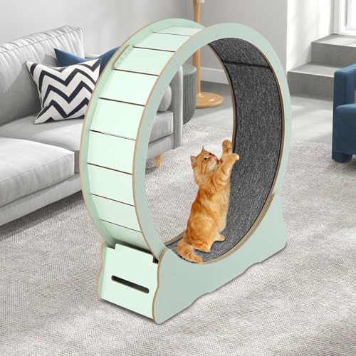 Cat Exercise Wheel for Indoor Cats 39 Inch Cat Exercise Wheel, Cat Treadmill for with Safety Lock Cat Treadmill, Cat Running Wheel, Extra Wide Cat Treadmill for Indoor, Cat Exerciser for Pets - Thumbnail 3