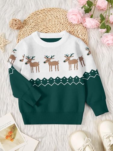 Image of Girls Christmas Pullover Sweaters Reindeer Elk Snow Long Sleeve Crew Neck Chunky Tops