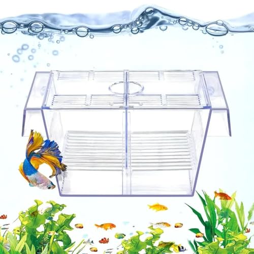 Image of VAYINATO Double Long Guppy Fish Breeding Tank Fish Hatchery Acrylic FH-101 by Petzlifeworld