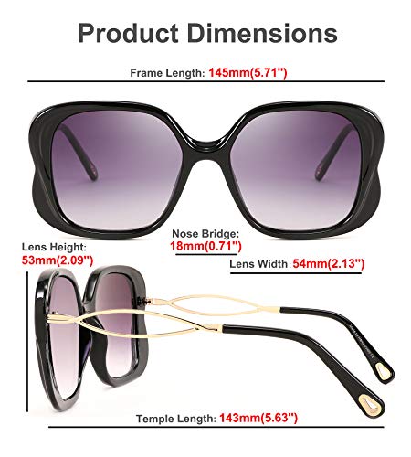 FEISEDY Oversized Butterfly Sunglasses for Women Fashion Charming Ladies Sunglass B27054