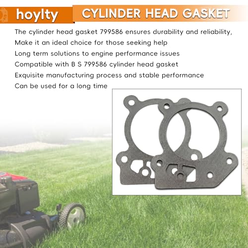 Image of Replace Valve Head Gasket Compatible with B S 799586 Gasket, Fits 08P502 09P702 09P602 Series 300E 450E (2)