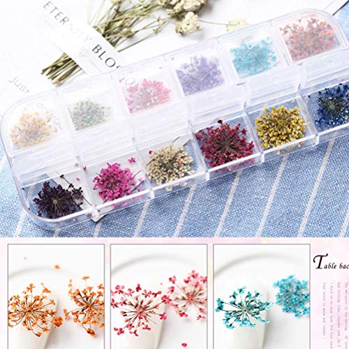 HZWLF Nail Art Tool, Trockenblume Nail Art 3D Nagelaufkleber Aufkleber für Frauen (36 Stück große Trockenblume + 36… – Bild 3