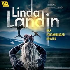N&auml;r f&ouml;rd&auml;mningar brister cover art