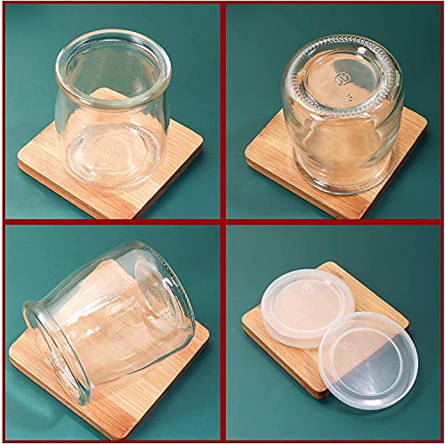 Image of CROCO JAR Pudding Glass Jar with Lid | Reusable Yogurt Glass Container | Small Airtight Glass Jars for Dessert, Custard, Jam, Kitchen Storage & Serving | 150ml, Set of 6