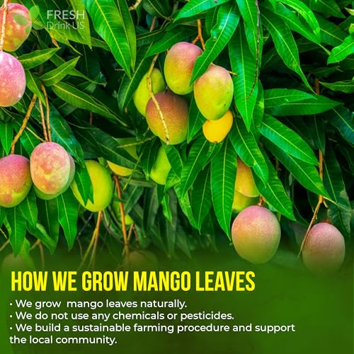 Image of FreshDrinkUS, 8 oz Premium Dried Mango Leaves (Mangifera indica) - Cut & Sifted Loose Leaf for Herbal Tea - Natural Botanical Leaves for Hot & Iced Infusions - Non-GMO, No Additives, Resealable Pouch