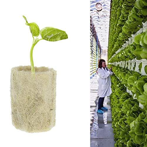 YAMI 水耕栽培 キューブ ロックウール 農業栽培 植栽成長 栽培培地 植物成長キューブ 挿し木 圧縮基盤 20*27mm 植物プラグ ガーデニング 50個