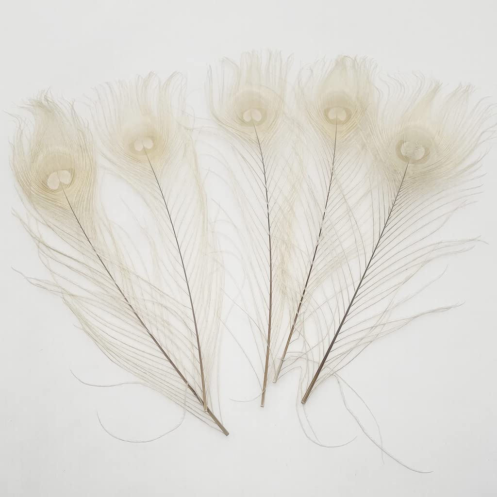 Natural Peacock Feathers for Craft Feather Mask Making Decoration Pack of 20pcs (Off-White)