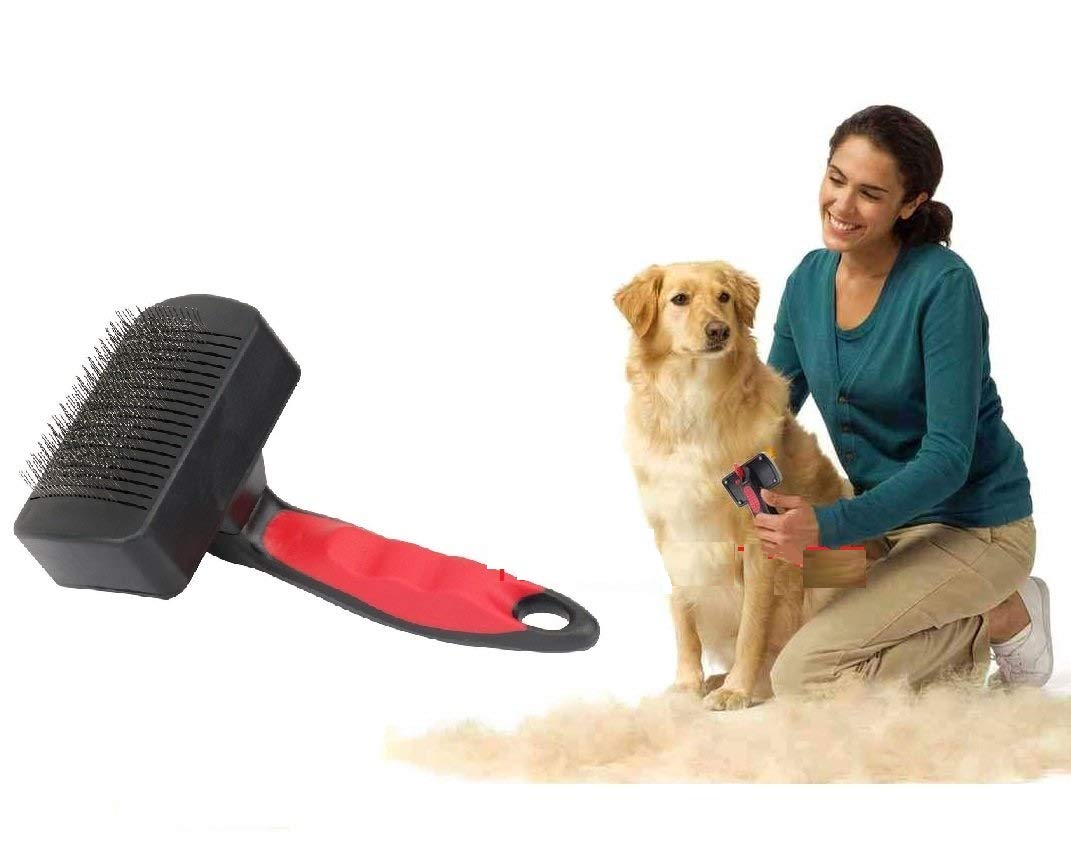 THE DDS STORE Self Cleaning Slicker Brush for Dogs and Cats - Easy to Clean Pet Grooming Brush Removes Mats, Tangles, and Loose Hair with Minimal Effort and Comfort - Suitable for Long or Short Hair (Color May Vary) (B07FTR3Q6H) Amazon Price History, Amazon Price Tracker
