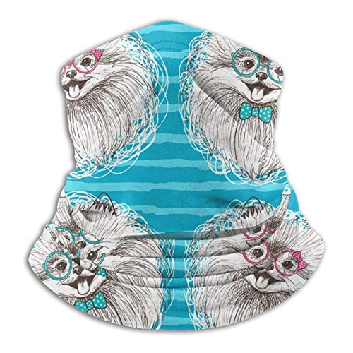 lbNEH[}[ Kl |jA XgCv lbNK[h H~ h tFCX}XN }t[ tFCXEH[}[ Xq ӂӂ  Lk z ʋC h ʋ ʊw Xm[{[h jO TCNO AEghA ] 