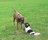 Leinöl 100%, Premiumqualität - 3