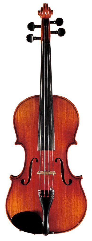 Amazon | 鈴木 バイオリン No.500T 3/4 | バイオリン | 楽器・音響機器