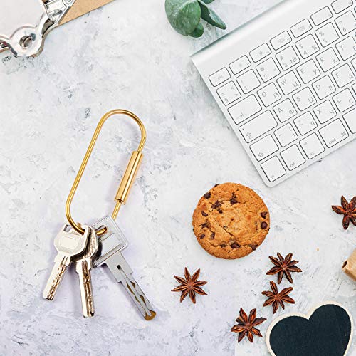 Image of WILLBOND Brass Carabiner Key Ring Locking Screw Carabiner Clips Round Key Rings Keychain Kit for Handbags Purse Bag Charm