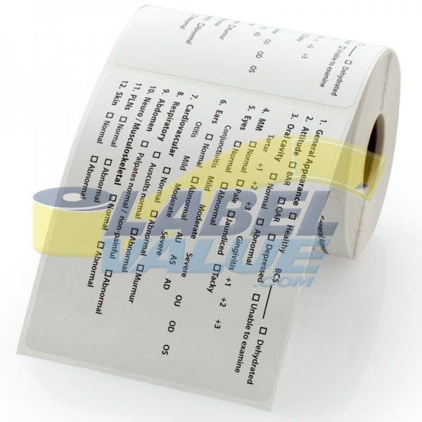 LabelValue.com | Veterinary Labels, Exam Checklist LV-VET3