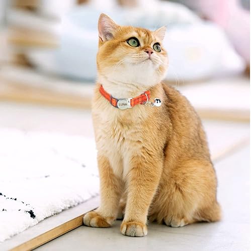 Miniatura 6 de Collar de gato reflectante personalizado con campana, diseño de separación, nombre grabado y número de teléfono