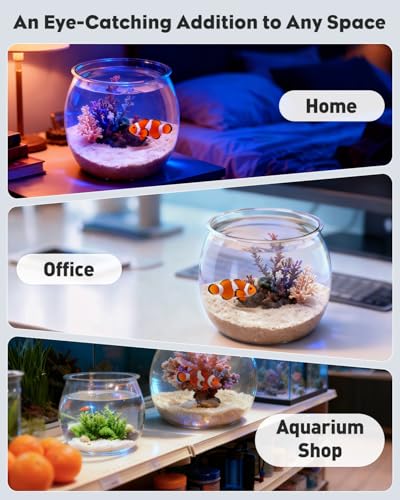 Image of Pawfly 0.5 Gallon Mini Plastic Fish Bowl, Unbreakable Small Fishbowl Desktop Aquarium, Clear Round Plastic Fish Tank for Small Fish, Shatterproof Betta Fish Tank Goldfish Bowl, Decorative Globe Vase