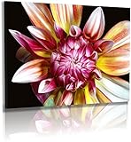 Fertig auf Keilrahmen gespannt - Bilder gerahmt auf echtem Holzrahmen: Stärke 20 mm