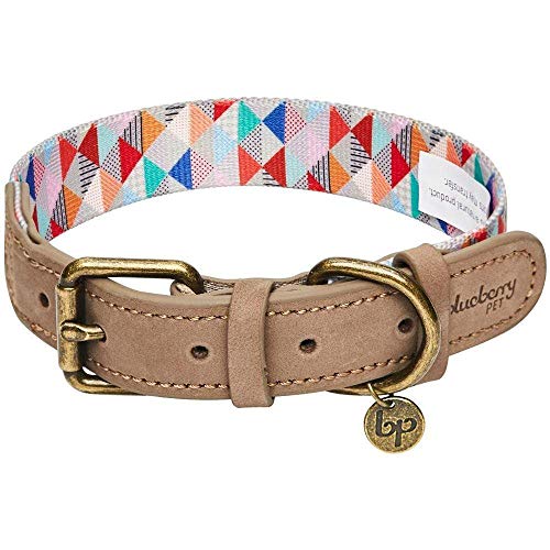 Blueberry Pet Shades of Rainbow Multicolor Triangles Polyester Fabric Webbing and Soft Genuine Leather Dog Collar, Small, Neck 30.5cm-38cm, Adjustable Collars for Dogs