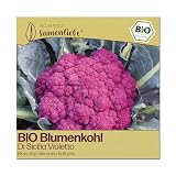 Samenliebe BIO Blumenkohl Samen | Di Sicilia Violetto - italienisch & violett - samenfestes BIO Saatgut