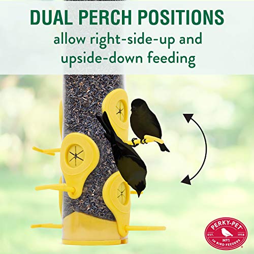 Perky-Pet 481F Finch Feeder With Flexports thumb #4